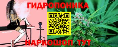 стаф Бугуруслан