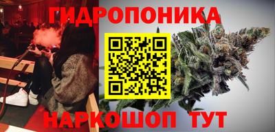 гидропоника Будённовск