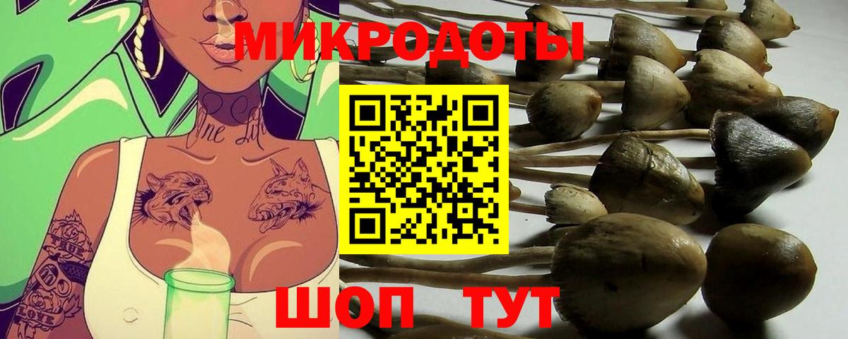 Псилоцибиновые грибы ЛСД Лысьва